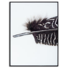 Load image into Gallery viewer, Feather Trio - Contemporary Monochrome Framed Glass Wall Artwork