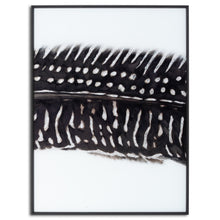 Load image into Gallery viewer, Feather Trio - Contemporary Monochrome Framed Glass Wall Artwork
