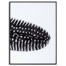 Load image into Gallery viewer, Feather Trio - Contemporary Monochrome Framed Glass Wall Artwork